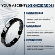 OMARYS® HEMATITE BRACELET